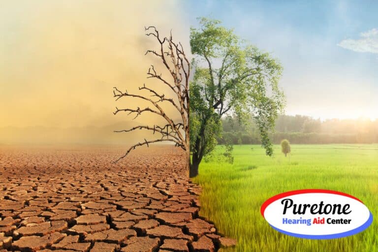 Photo of a tree where one side is dry and dusty and the other is vibrant and green